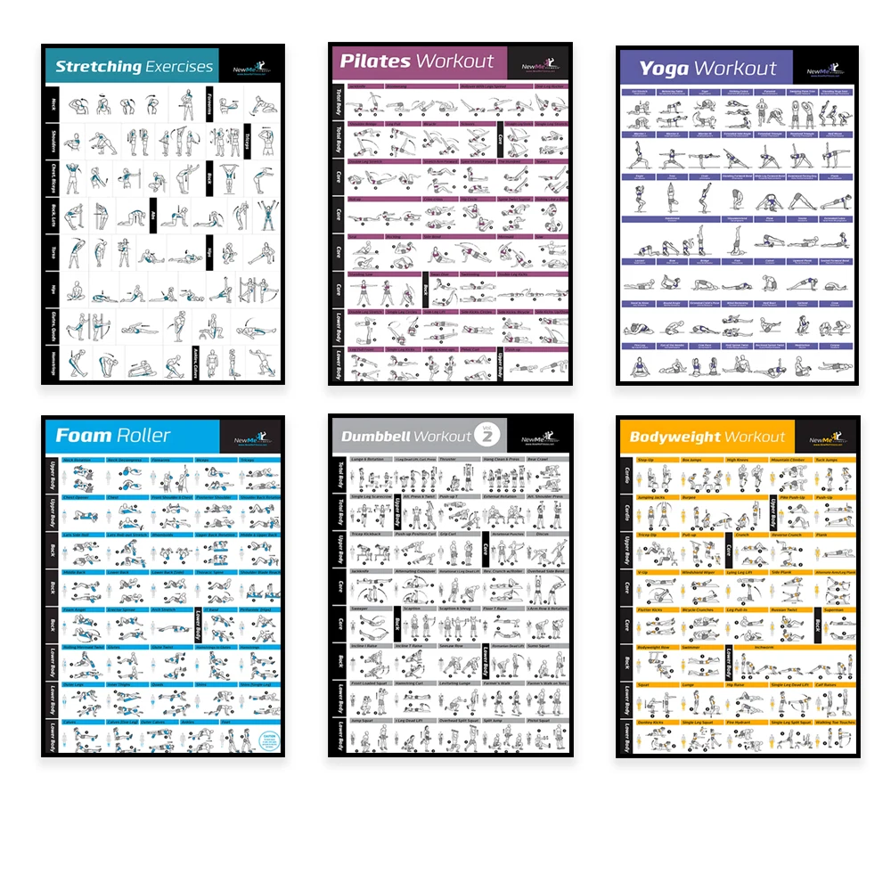 Body Exercise Training Chart W - Home Gym Routine 评论和价格