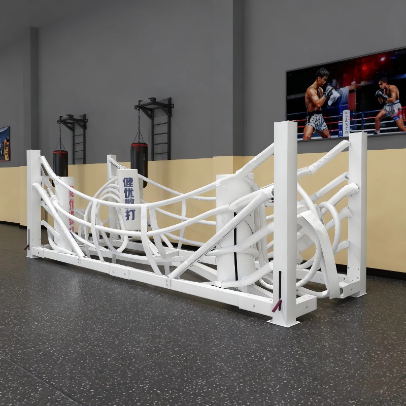 Foldable Gym Boxing Ring Set S - Home Gym Equipment Set 评论和价格