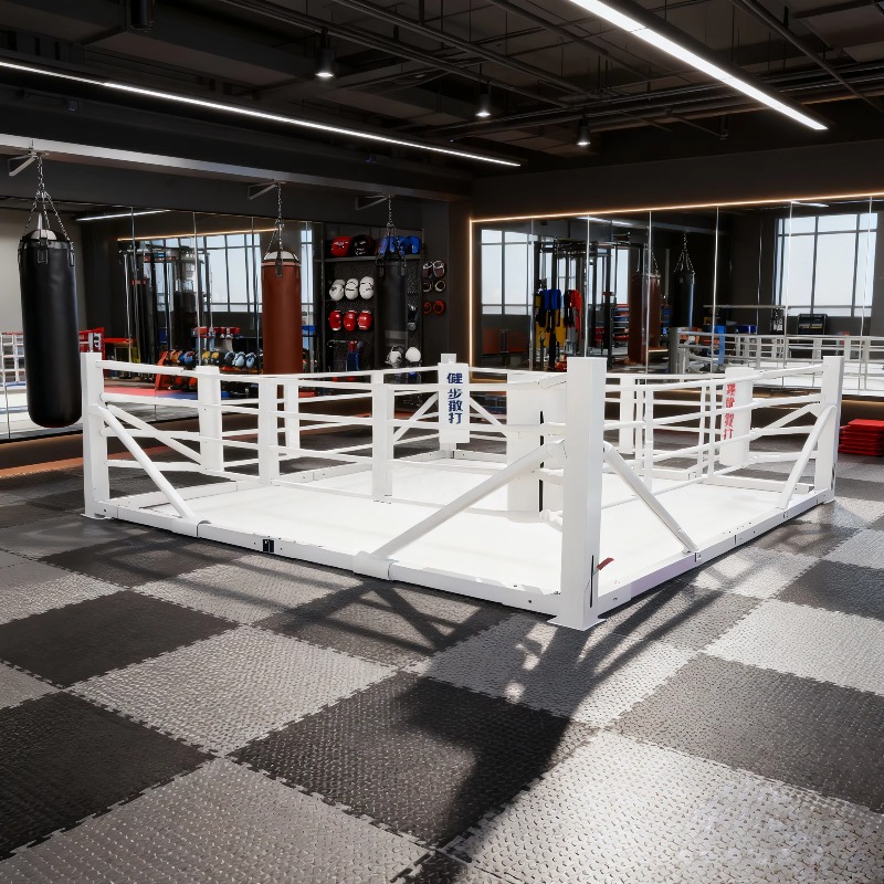 Foldable Gym Boxing Ring Set S - Home Gym Equipment Set 评论和价格
