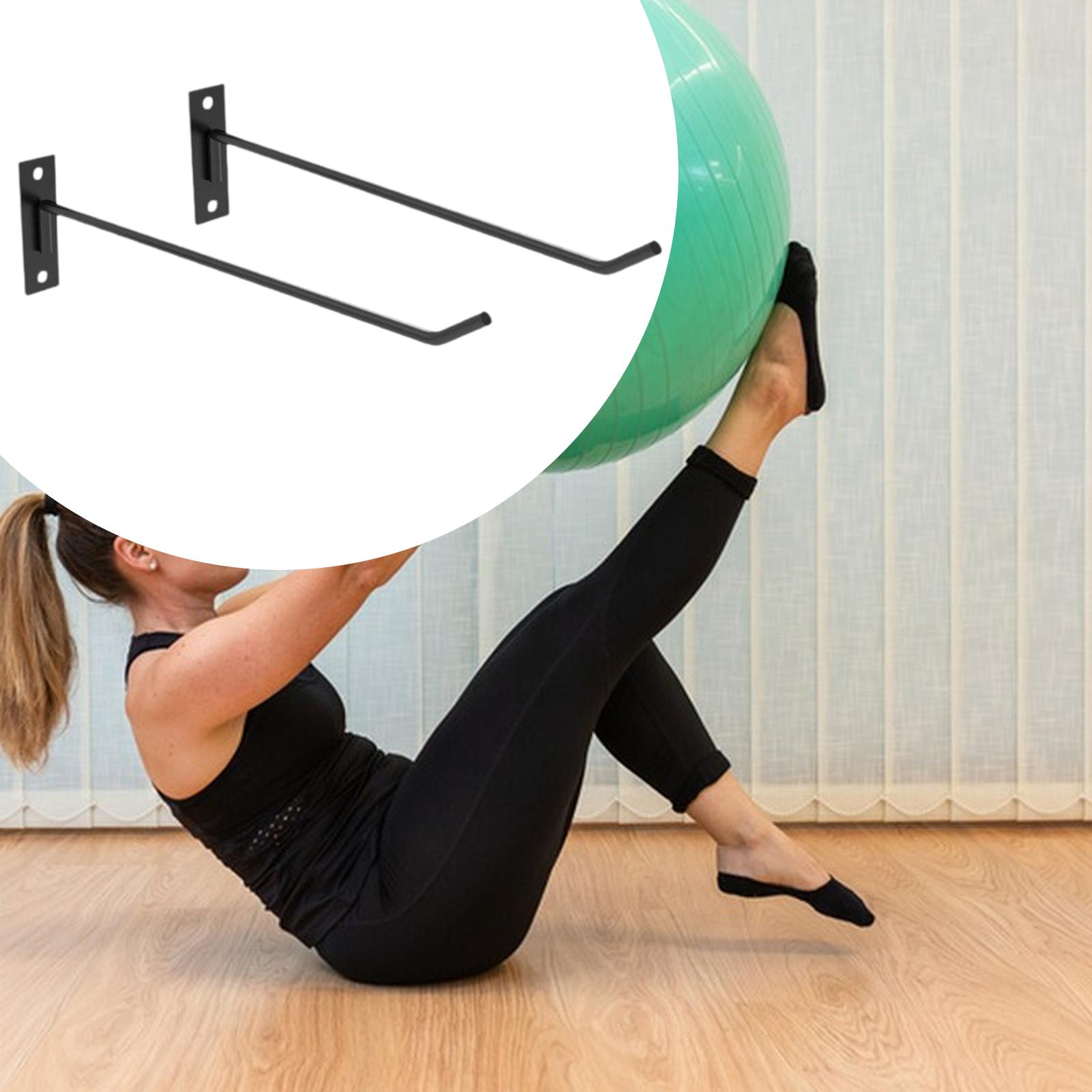 Multipurpose Exercise Ball Hol - Home Gym Routine 评论和价格