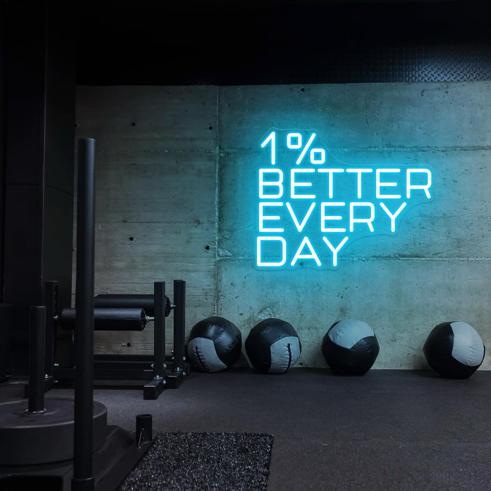 1% Better Every Day Neon Sign, - Home Gym Neon Sign 评论和价格