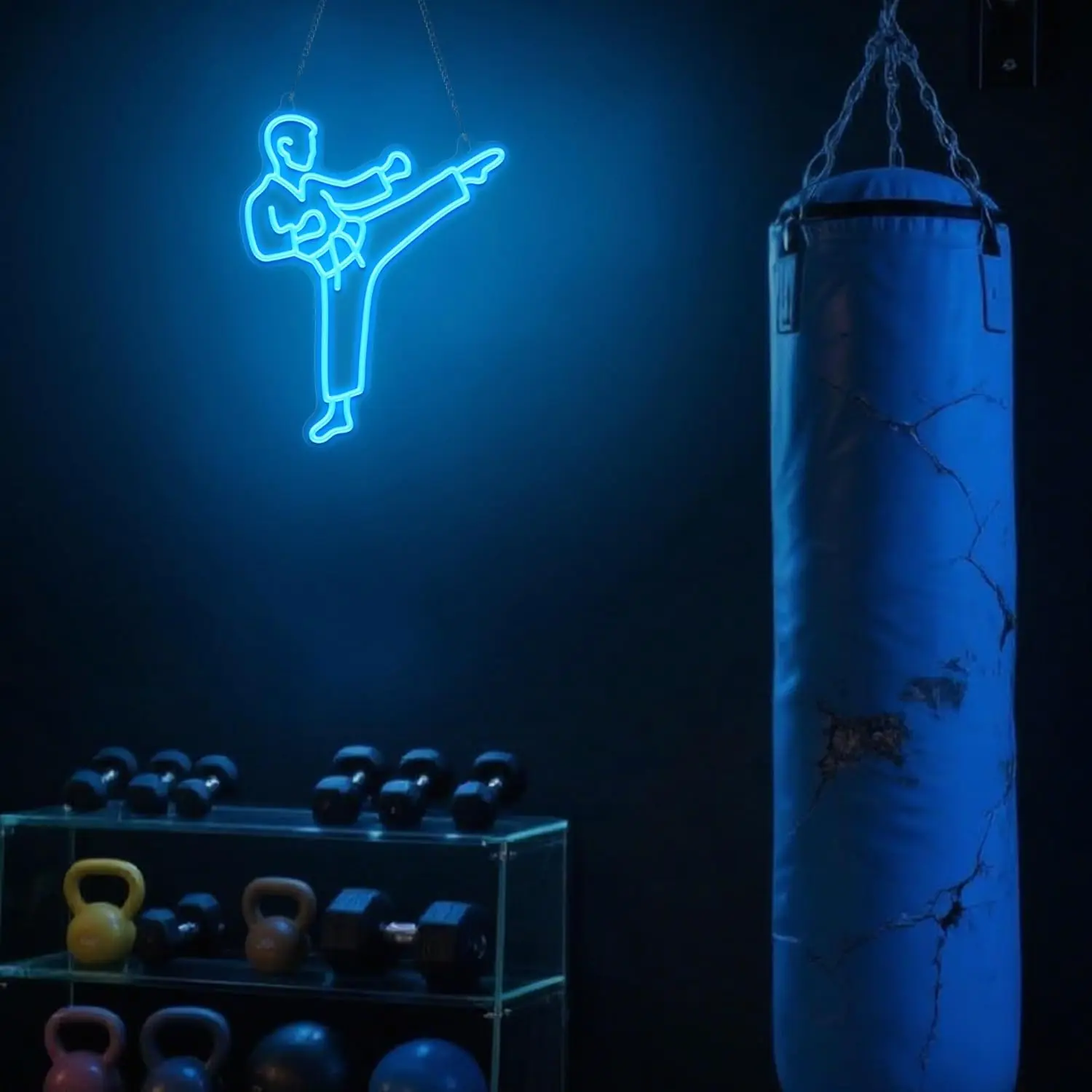 Karate Man Neon Sign Blue LED  - Home Gym Neon Sign 评论和价格